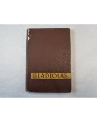 Gladiolas