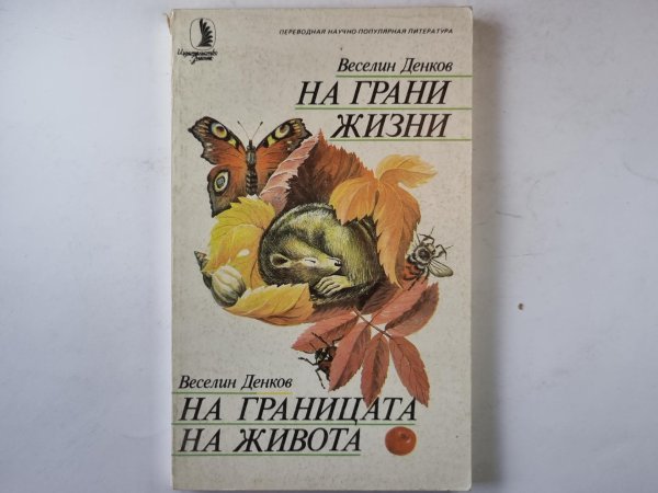 На грани жизни