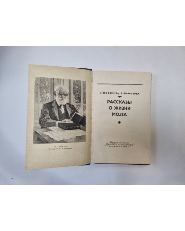 Рассказы о жизни мозга