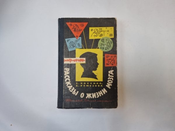 Рассказы о жизни мозга