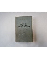 Жизнь Матвея Кожемякина