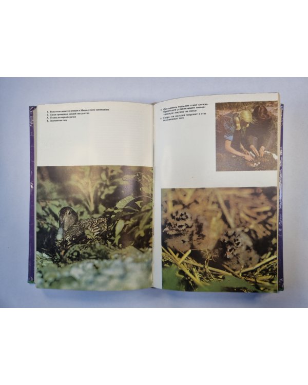 На суше и на море. 1977. Художественно-географическая книга