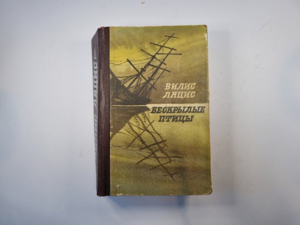 Бескрылые птицы Бескрылые птицы