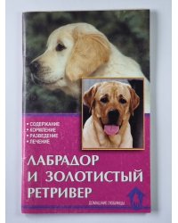 Лабрадор и золотистый ретривер