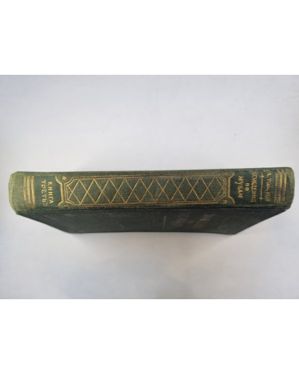 Хождение по мукам. Книга 3