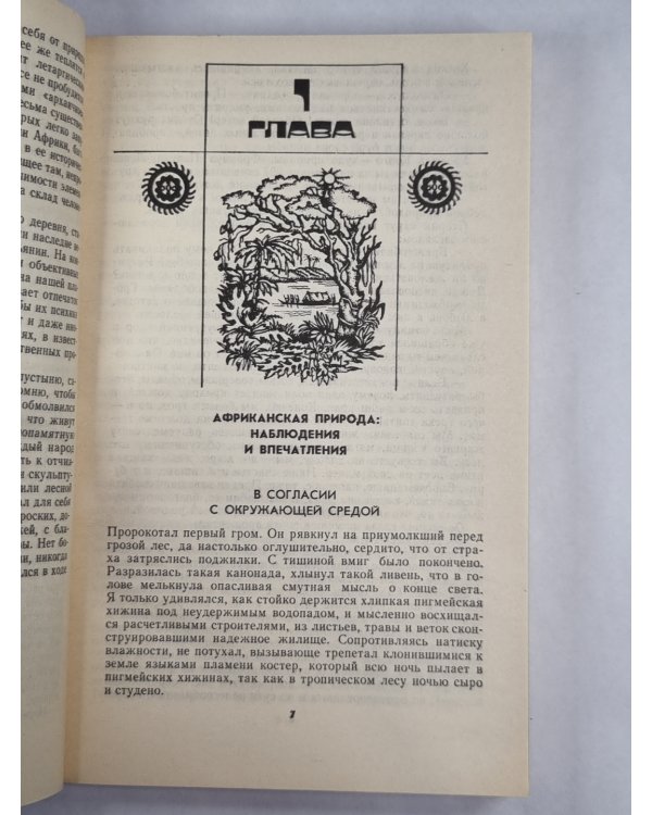Бой Тамтамов будит мечту