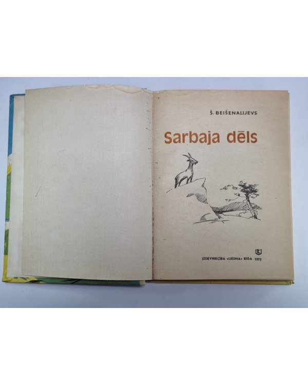 Sarbaja dēls