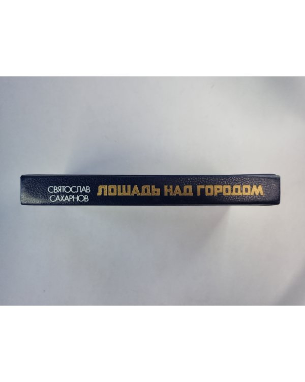 Лошадь над городом