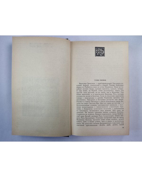 В лесах. Книга 1
