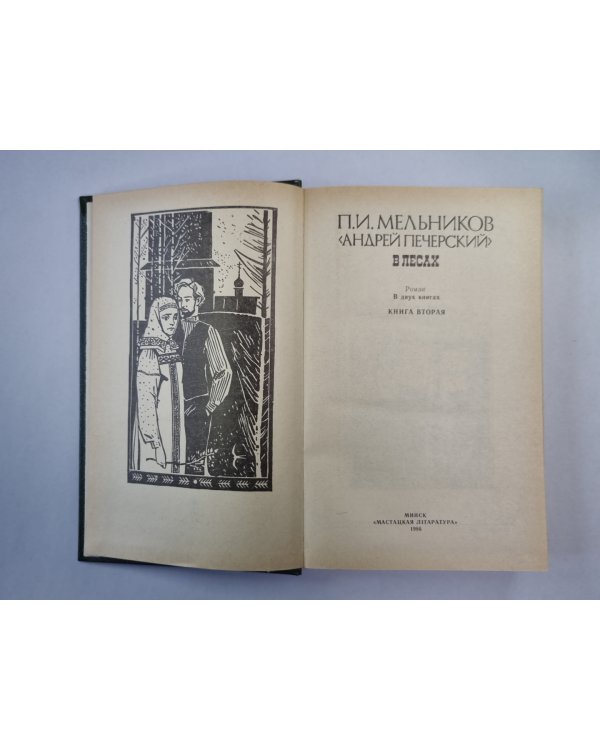В лесах. Книга 2