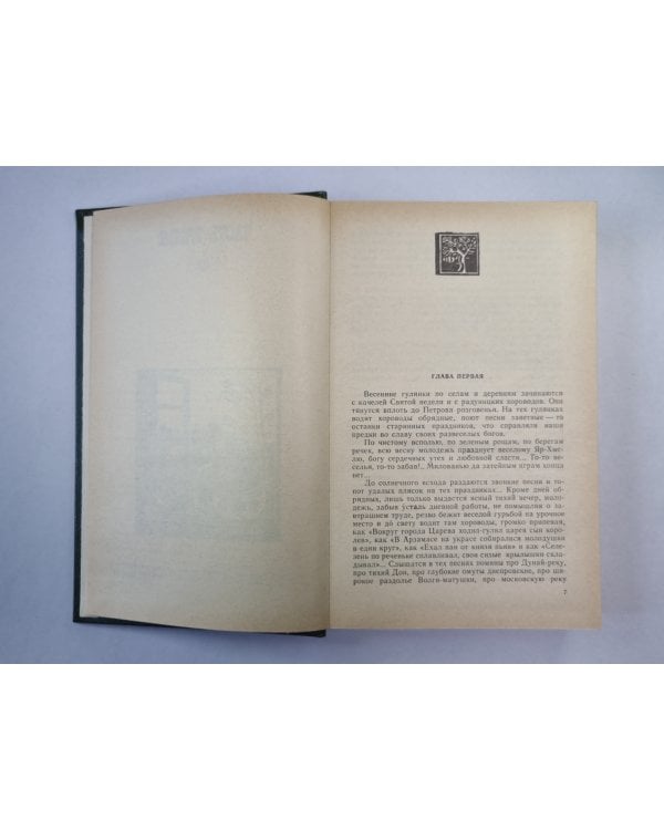 В лесах. Книга 2