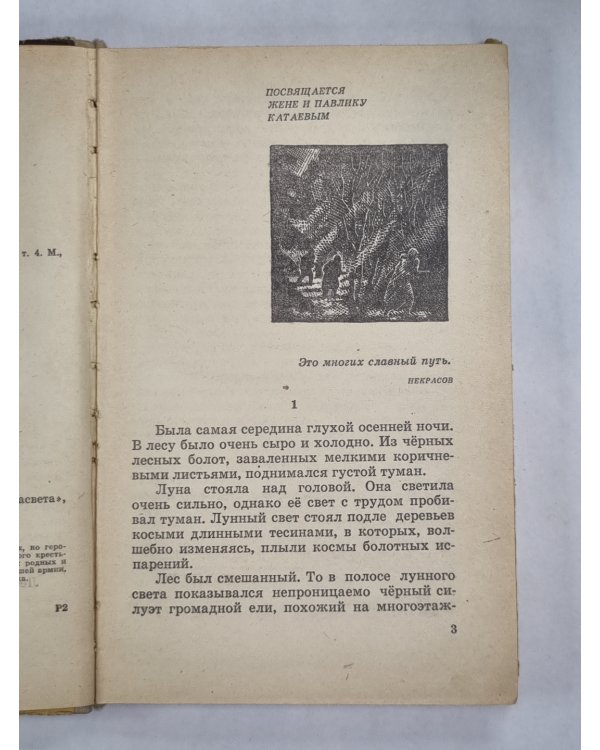 Сын полка
