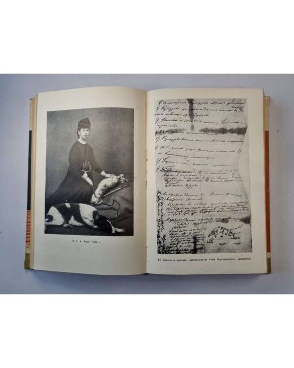 Лев Толстой (серия "Жизнь замечательных людей")