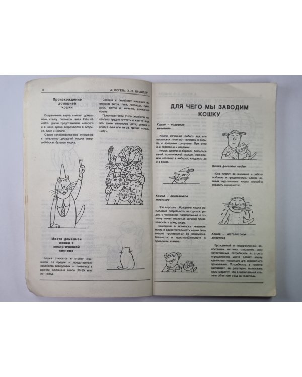 Советы любителям кошек