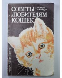 Советы любителям кошек