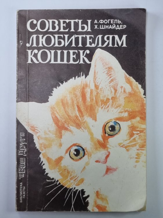 Советы любителям кошек Советы любителям кошек