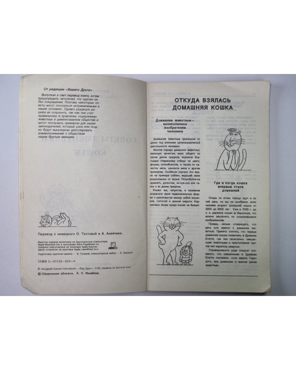 Советы любителям кошек