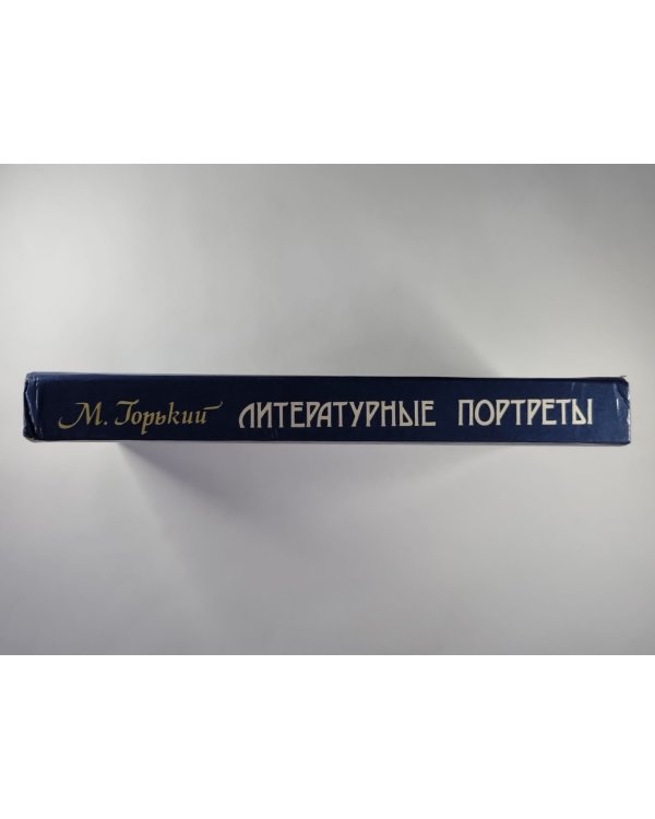 Литературные портреты