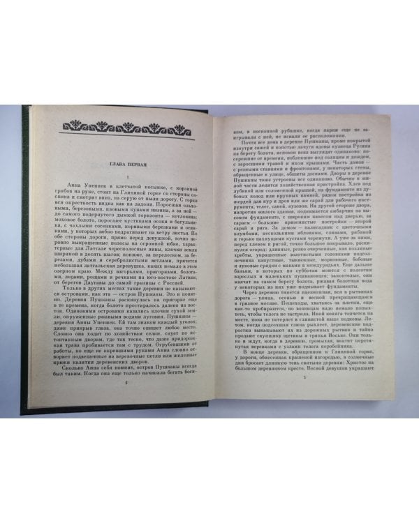 Дополнительное изображение книги «Деревня Пушканы»