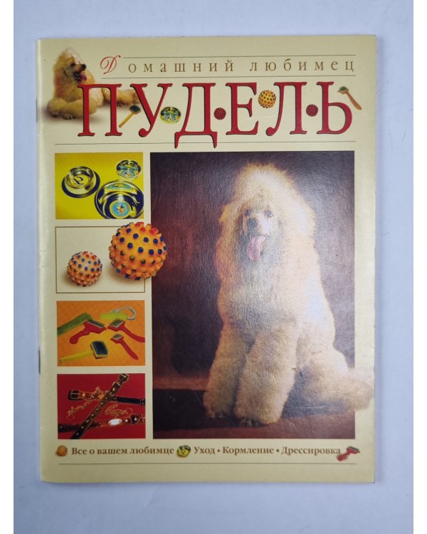 Пудель