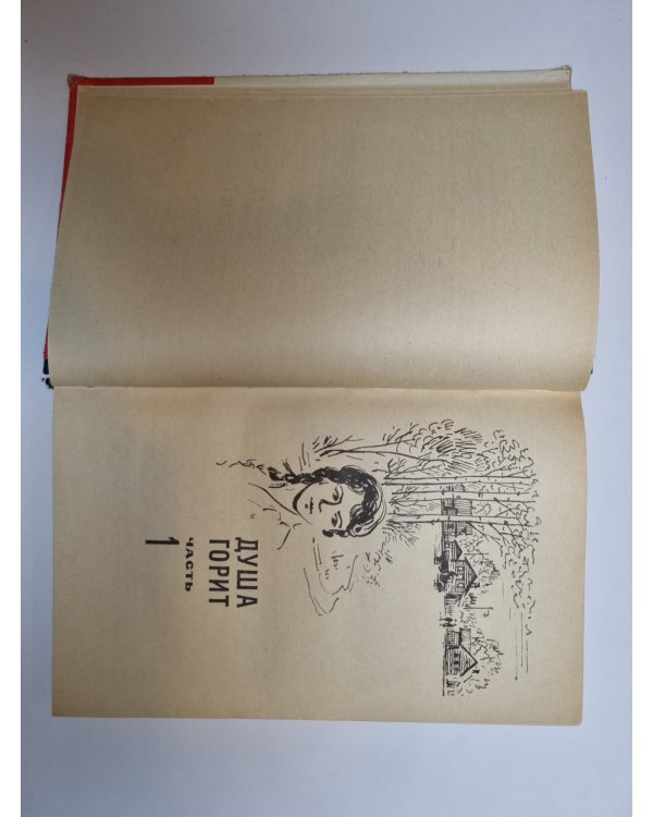 Дополнительное изображение книги «Чайка»