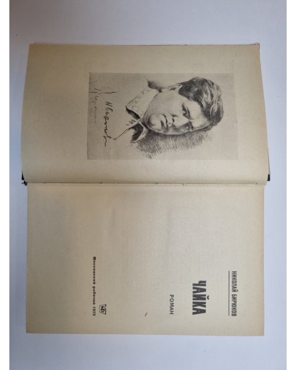 Дополнительное изображение книги «Чайка»