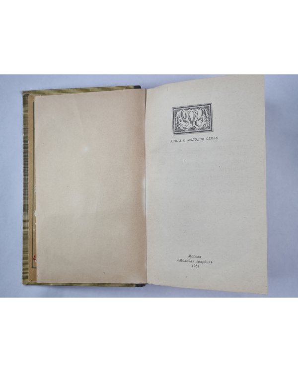 Мы строим дом