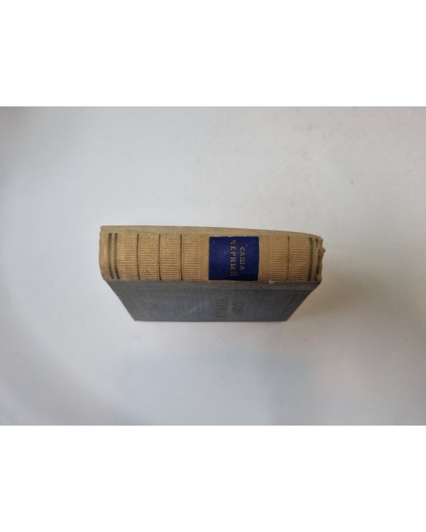 Стихотворения (Серия: "Библиотека поэта")