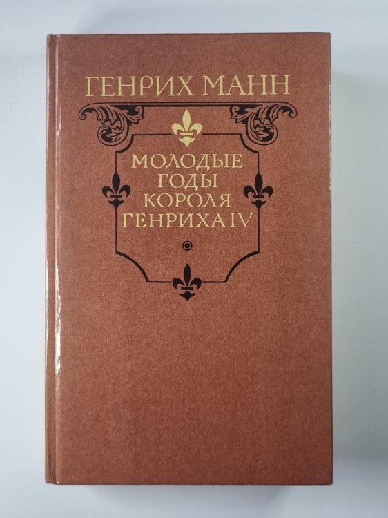 Молодые годы короля Генриха IV