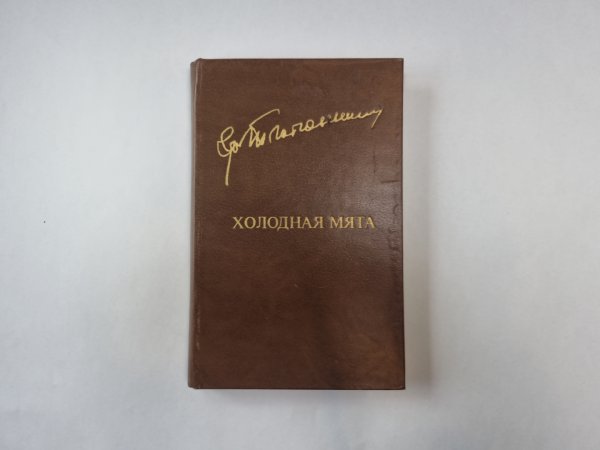 Холодная мята (Библиотека "Дружбы народов")