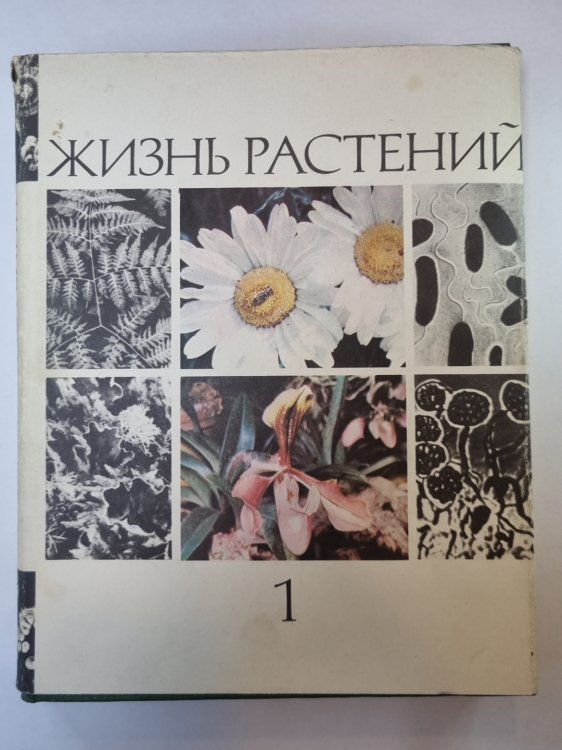 Жизнь растений в шести томах. Том 1. Введение бактерии  и актиномицеты