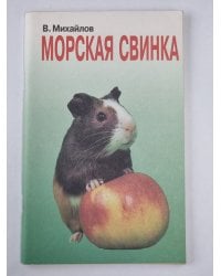 Морская свинка: Животные в нашем доме