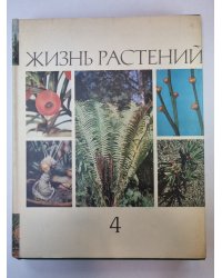 Жизнь растений в шести томах. Том 4. Мхи. Плавуны. Хвощи. Папоротники. Голосеменные растения