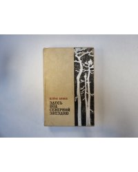 Здесь под северной звездою