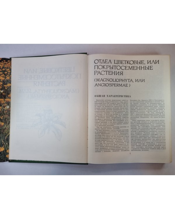 Жизнь растений в шести томах. Том 5 (1). Цветковые растения