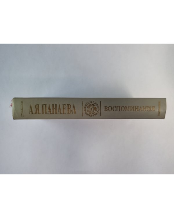 А.Я.Панаева. Воспоминания