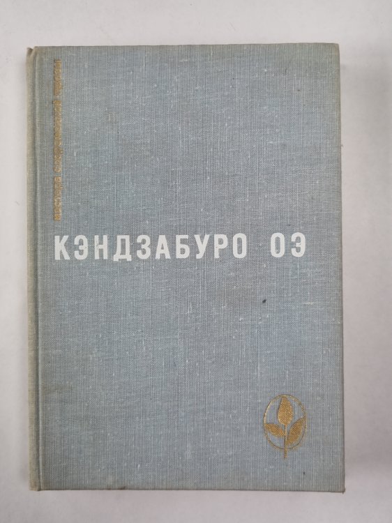 Объяли меня воды до души моей. Рассказы