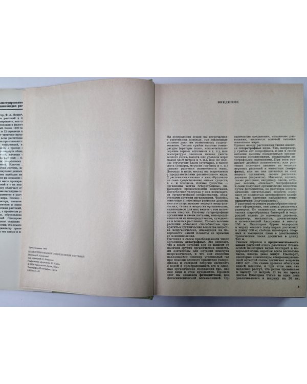 Иллюстрированная энциклопедия растений