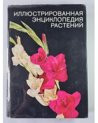 Иллюстрированная энциклопедия растений