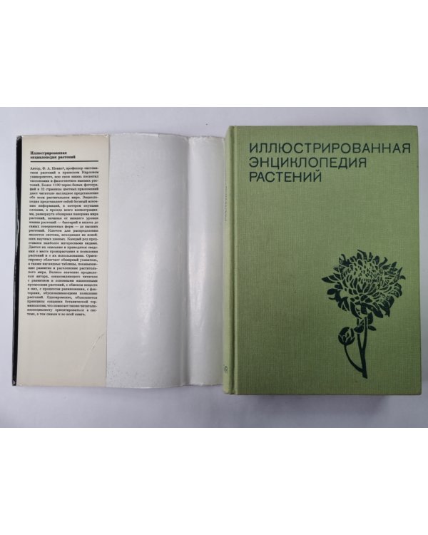 Иллюстрированная энциклопедия растений