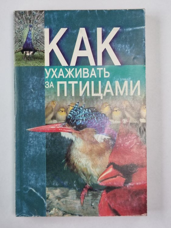 Как ухаживать за птицами