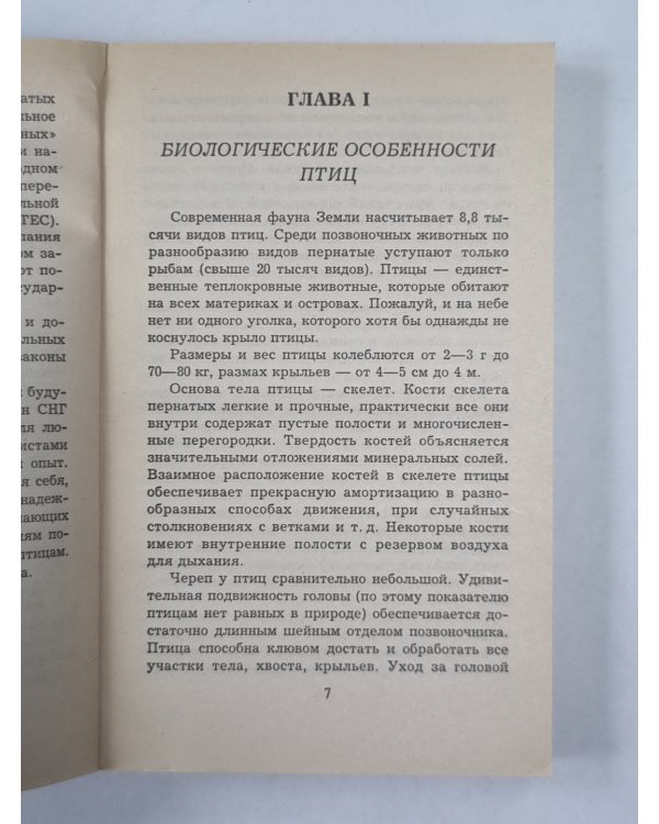 Как ухаживать за птицами