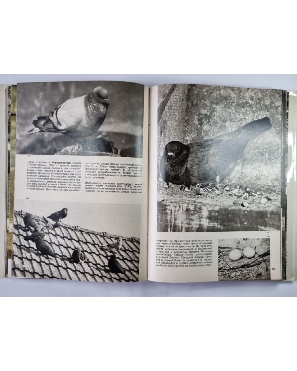 Иллюстрированная энциклопедия птиц