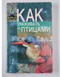 Как ухаживать за птицами