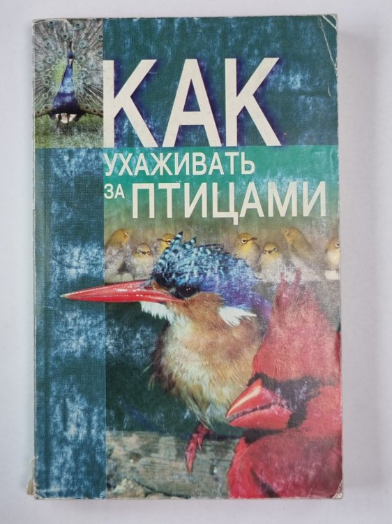 Как ухаживать за птицами