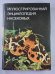 Иллюстрированная энциклопедия насекомых