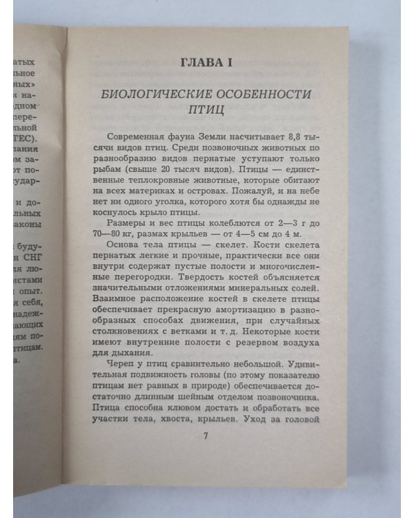 Как ухаживать за птицами