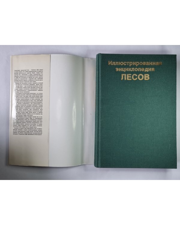 Иллюстрированная энциклопедия лесов