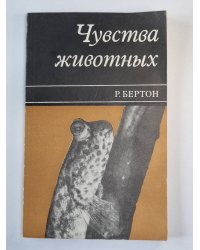 Чувства животных