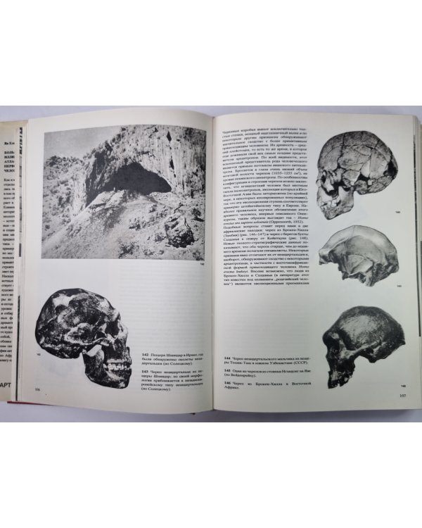 Большой иллюстрированный атлас первобытного человека